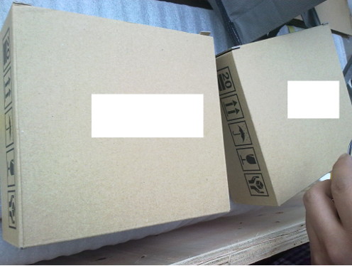 packaging of seiko print head